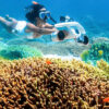 Underwater Scooter SUBLUE MixPro Bay Lượn Với Cá Underwater Scooter SUBLUE