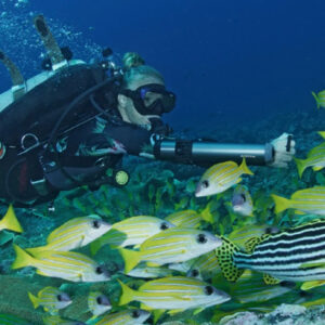 Home Seascooter Waydoo Subnado Standard