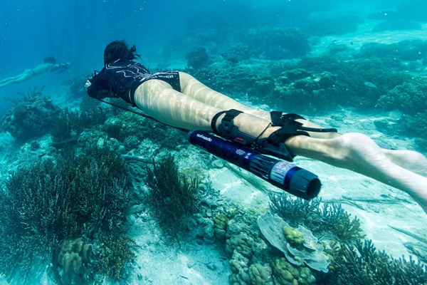 Seascooter Waydoo Subnado Lite Khám Phá Thủy Cung Seascooter Waydoo