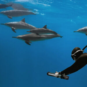 Underwater Scooter Waydoo Subnado Plus